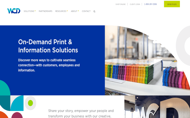 Professional Project Card