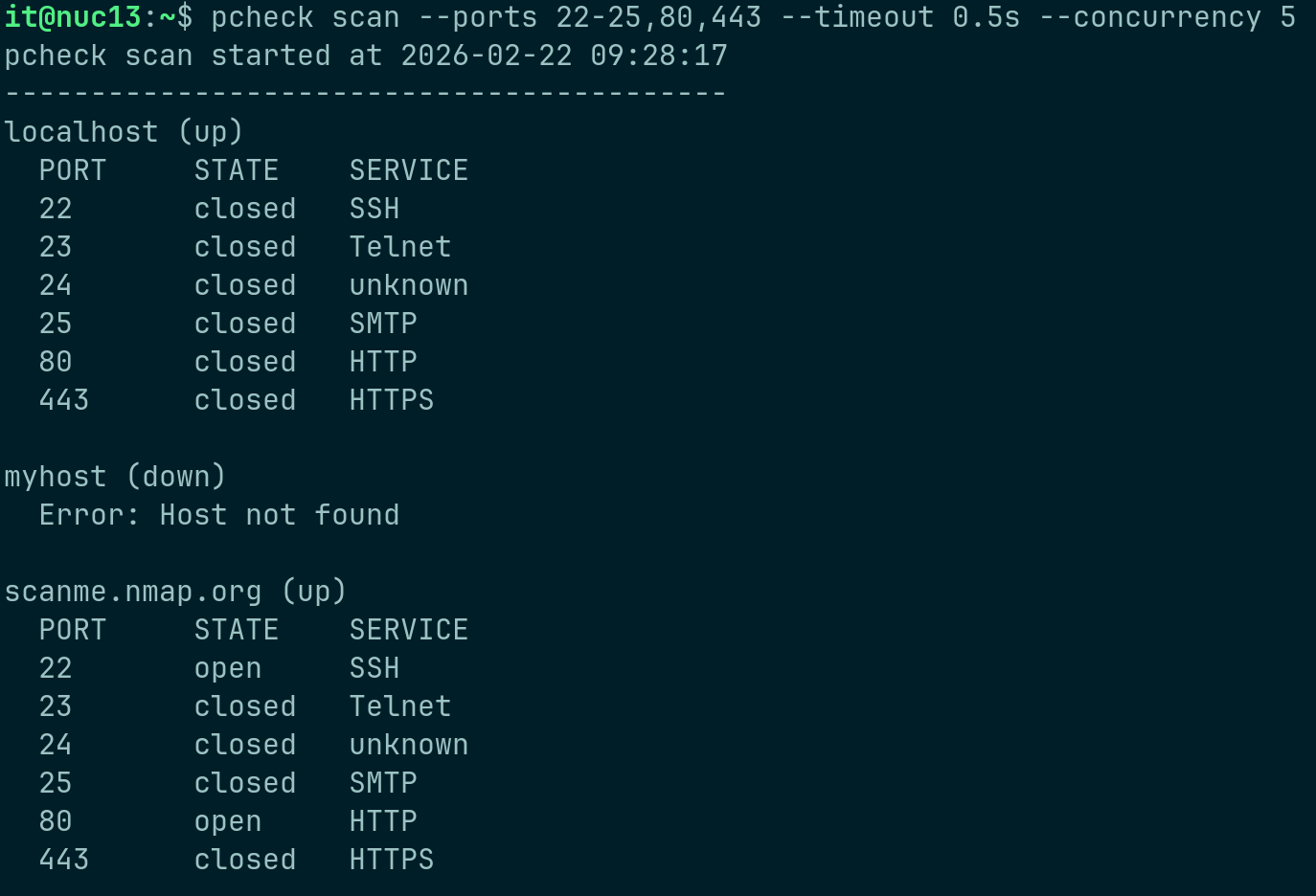 Detailed pcheck CLI terminal output