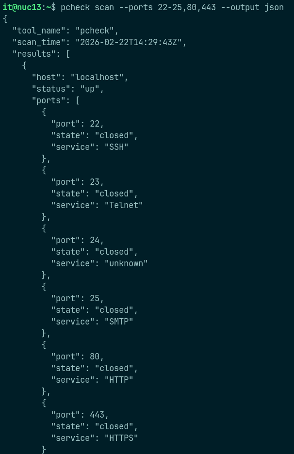 Detailed pcheck CLI terminal output (JSON format)